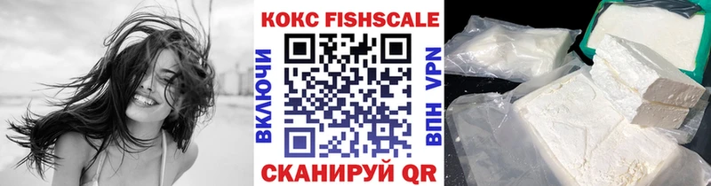 купить наркотики сайты  Судогда  Cocaine Fish Scale 