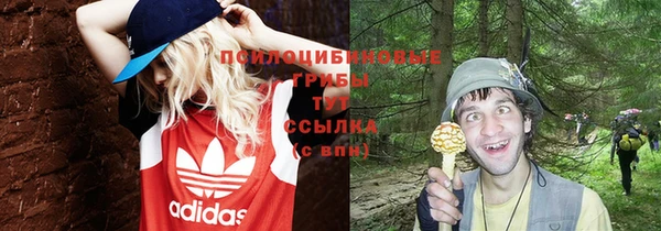бутират Инсар