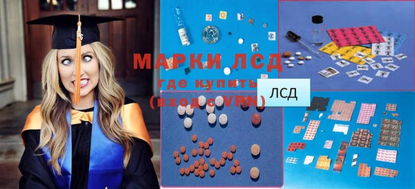 стафф Струнино