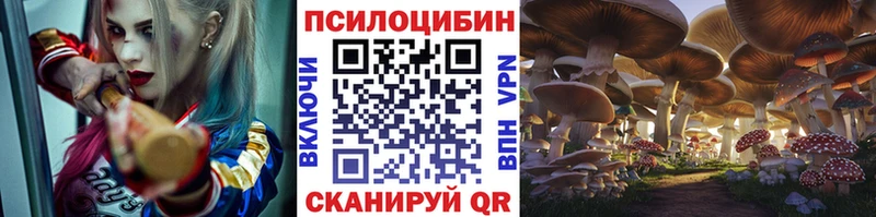 купить закладку  Судогда  Галлюциногенные грибы MAGIC MUSHROOMS 